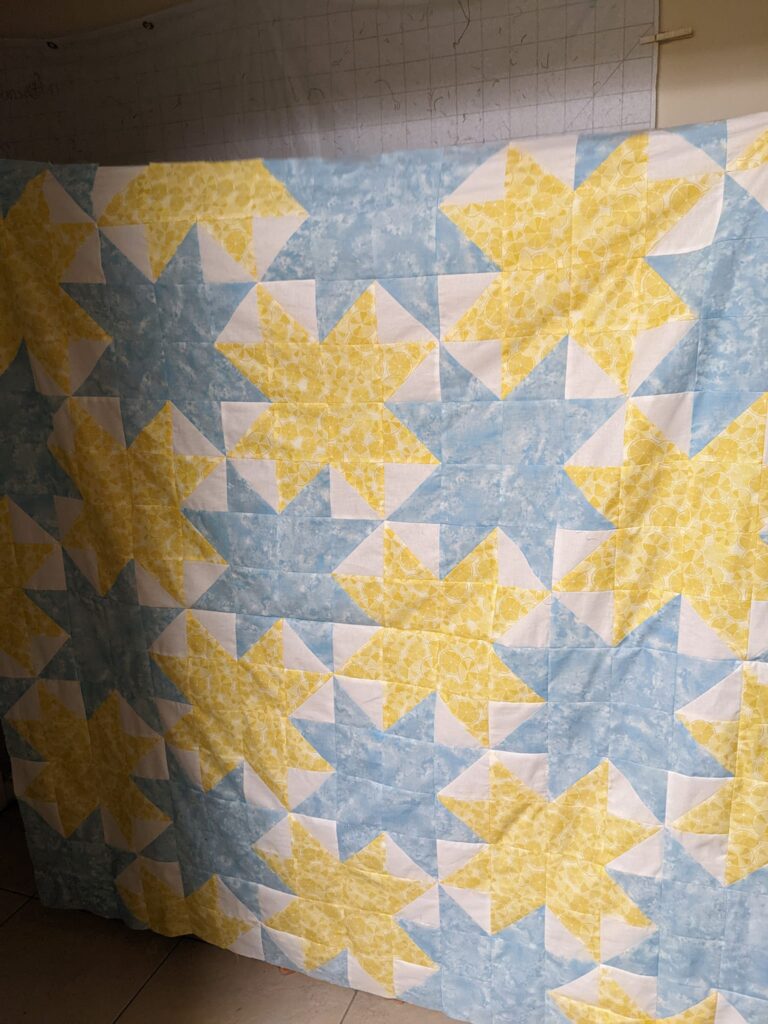 The completed quilt top prior to quilting.